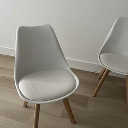 Mid Century Modern Dining Chairs