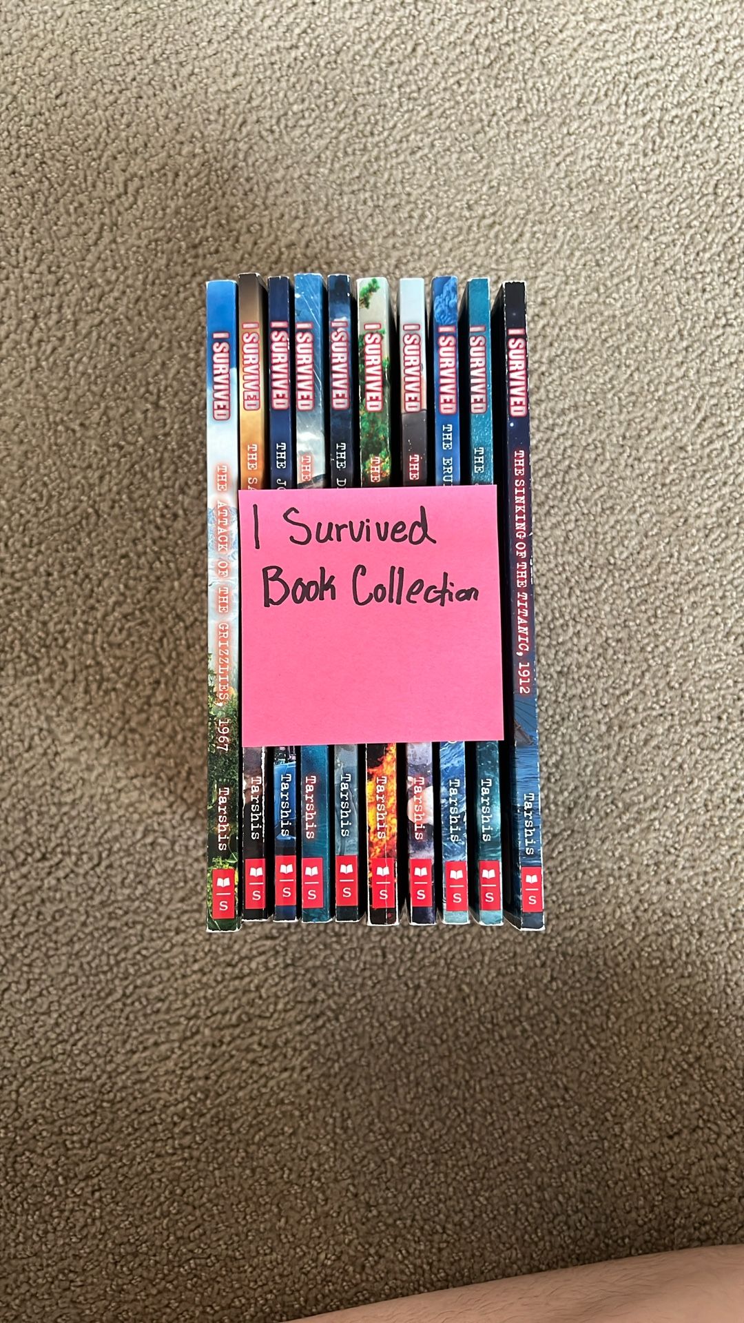 I Survived Book Collection (Set Of 10)