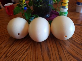 Ostrich eggs