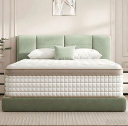 DAYBYI Twin Mattress 12 Inch Hybrid in a Box, Twin Size Mattress for Kids & Adults, Pocket Coil Foam for Bunk Bed, Medium Feel, Motion Isolation & Pre