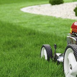 Mowing And Property Clean Up