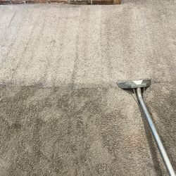 Carpet Shampoo 