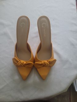 Pointed Toe Shoe