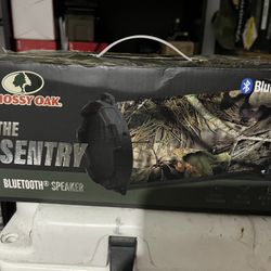 Bluetooth Speaker 