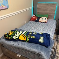 Twin Bed and Mattress 