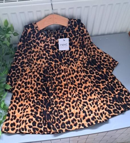 Baby Girl 12-18 Months BNWT NEXT Supersoft Dress