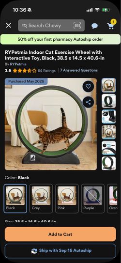 Cat Exercise Wheel