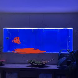 Acrylic Aquarium Fish Tank 8ft X 3ft Tall X 2ft 