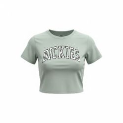 Women's Dickies Screen Tee