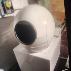 Hands-free Kitty Litter Box And It Could Be Optional For Other Animals
