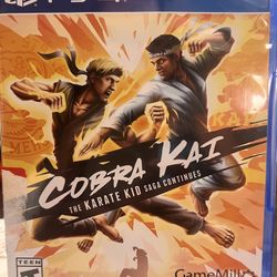 PS4 COBRA KAI 