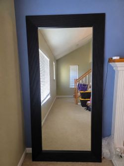 Dania Furniture Black Floor Length Mirror 82 x 41 inches
