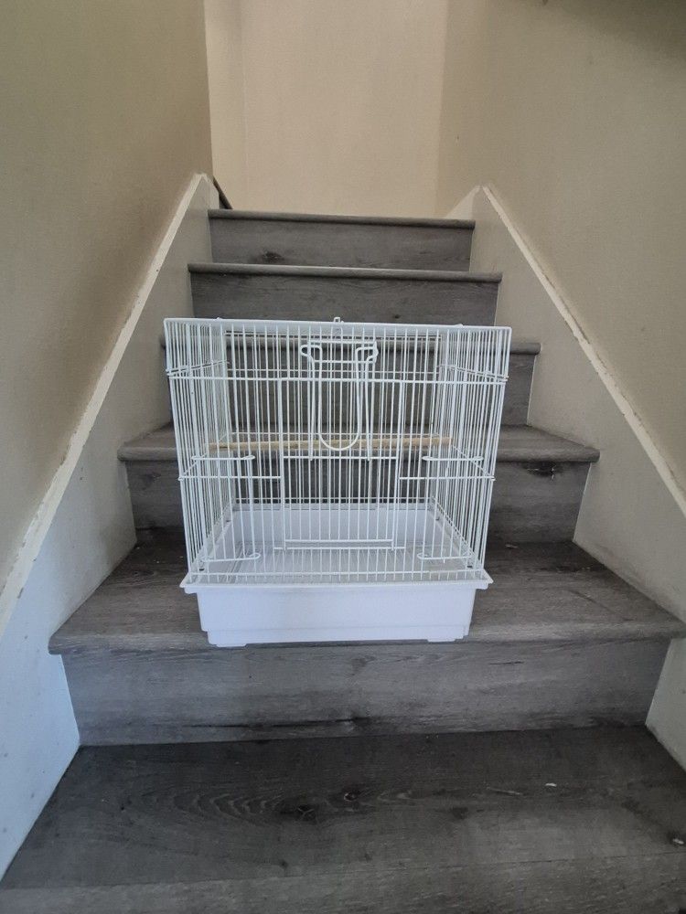 Bird Cage