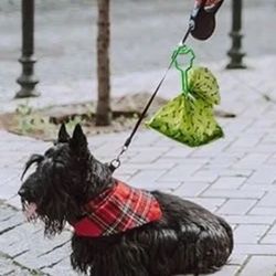 Used Poop Bag Holders
