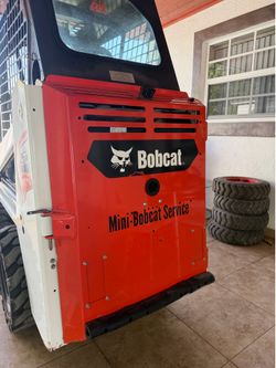 3 feet Bobcat