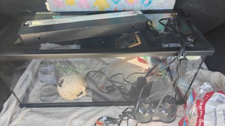 Reptile tank