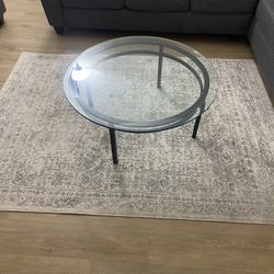 Living room Rug and Coffee Table 