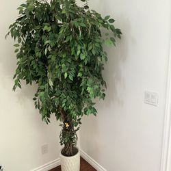 6/7 “ Ft Fake TREE WITH POT