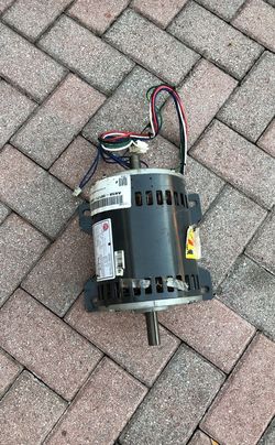 Treadmill motor