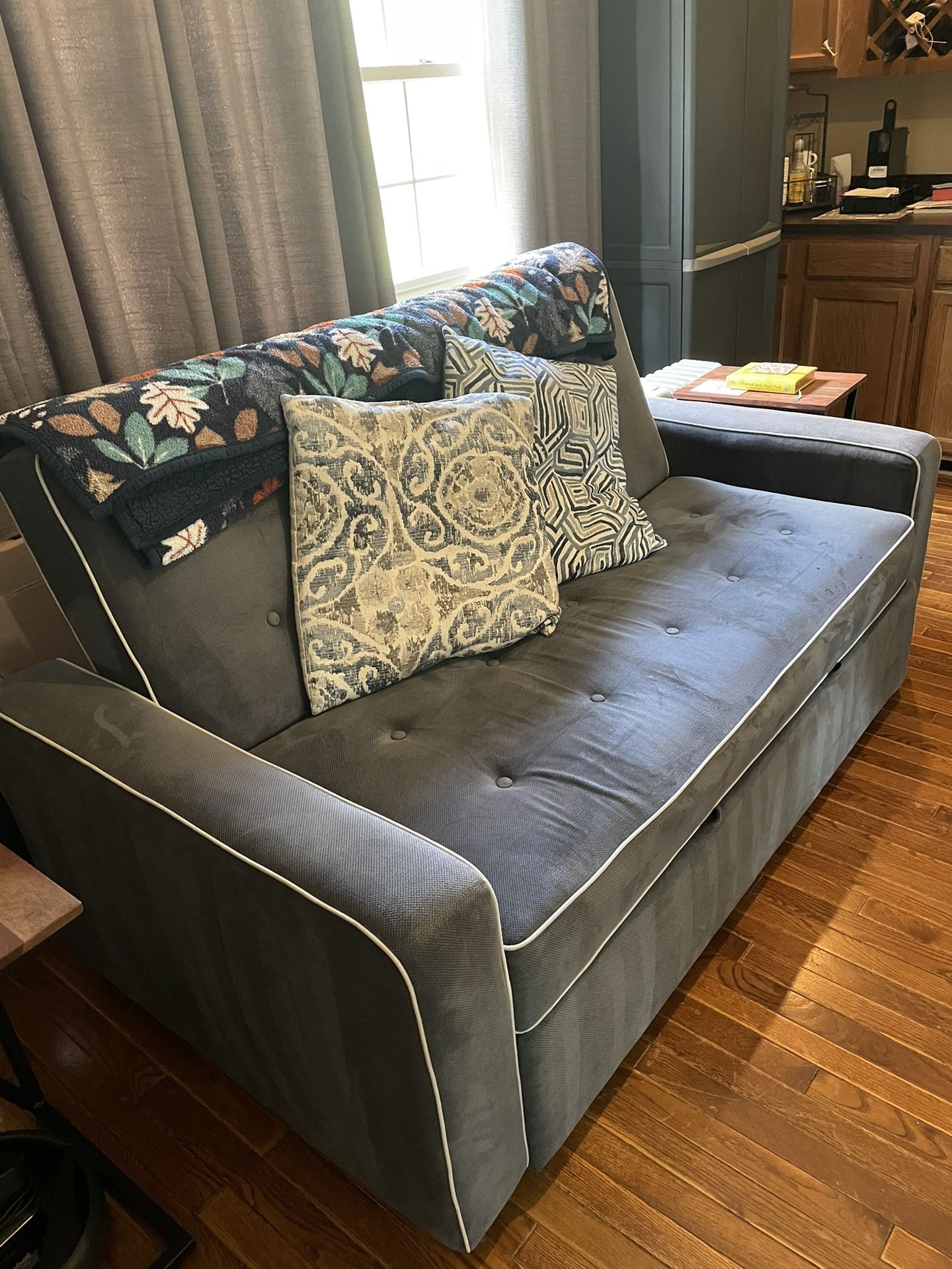 Loveseat pullout couch