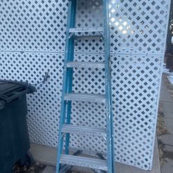 Werner 6 ft. ladder $35