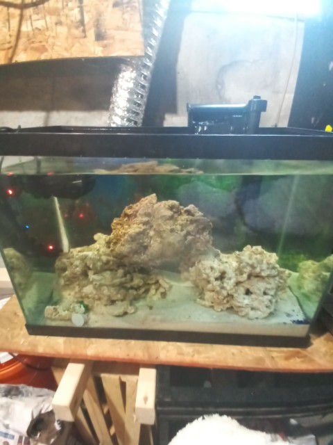 20 Gallon Fish Tank 