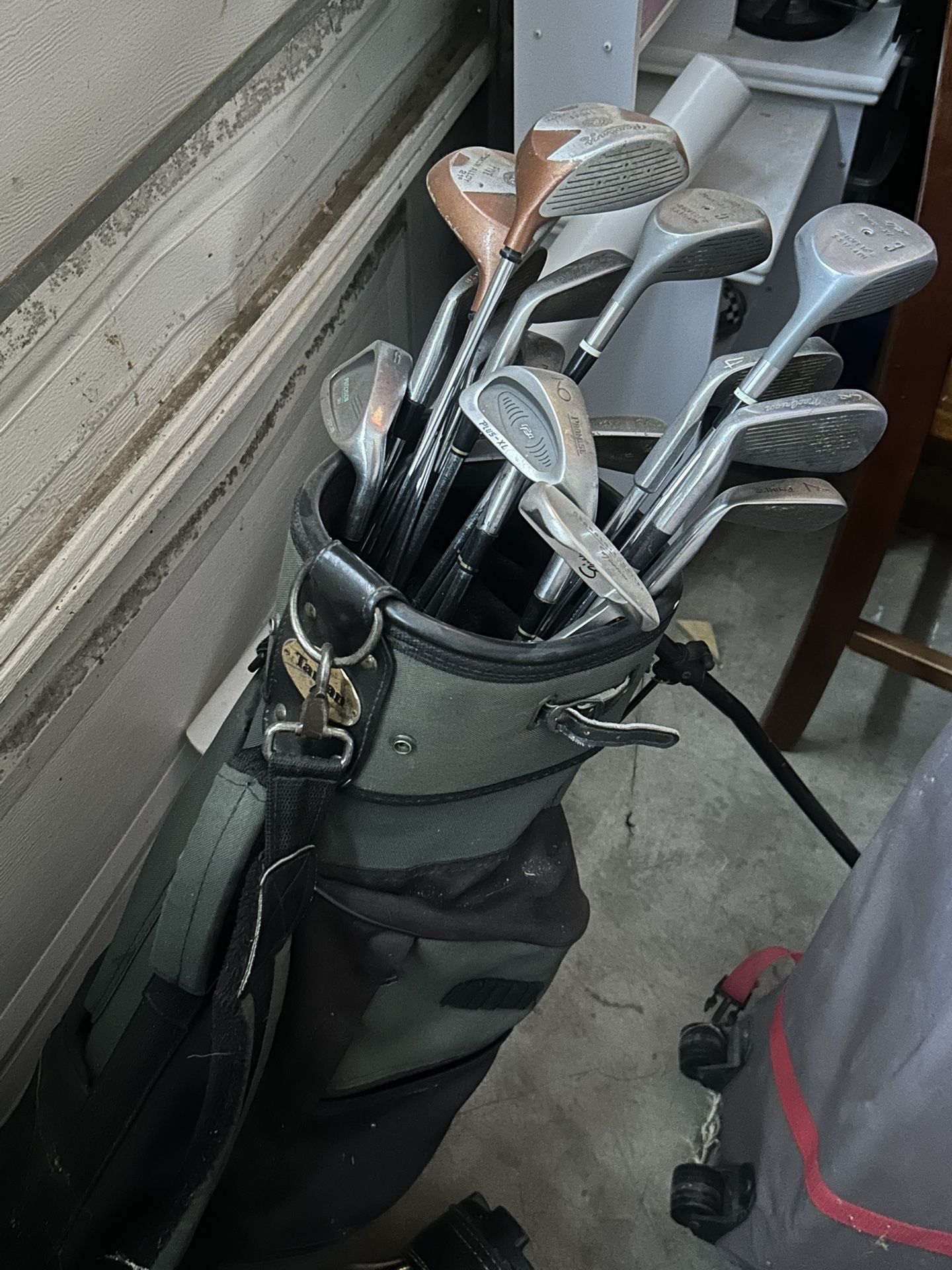 Golf Bag And Random Golf Clubs