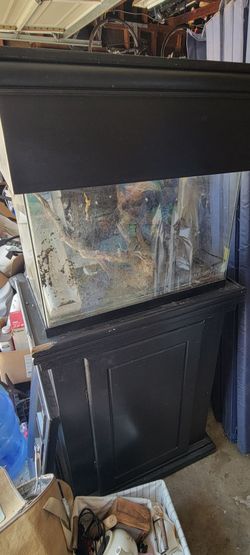 30gal tall aquarium