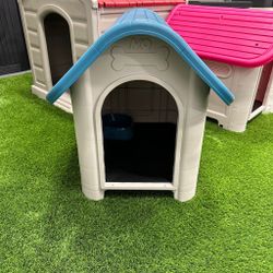 Dog House 