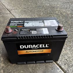 Duracell Car Battery Size 124R