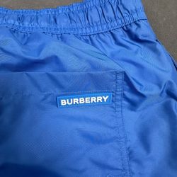 Burberry Swimming Shorts 