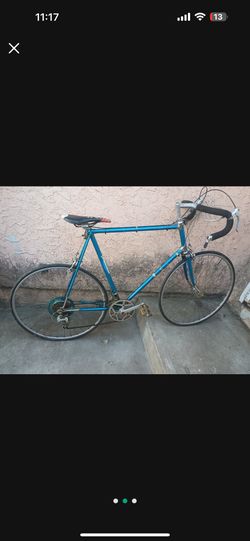 Windsor Vintage Bike