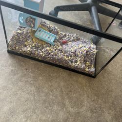 Hamster Cages
