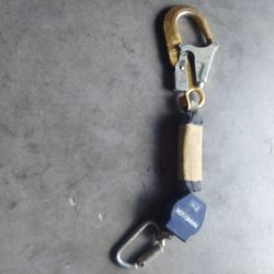 Strap
