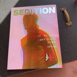 Sedition Mag / Playboi Carti