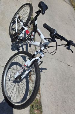 Mountain bike