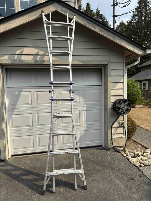 Sturdy Werner Ladder