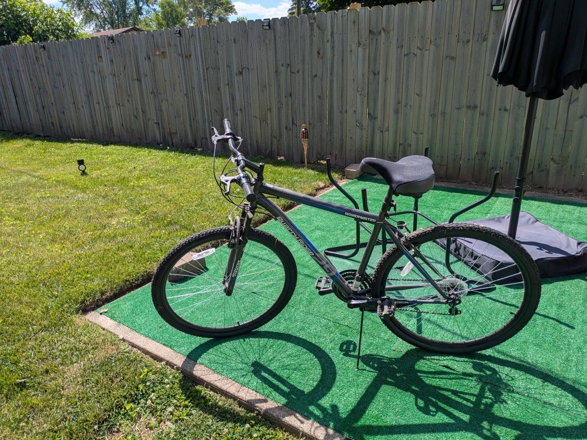 29 Inch Roadmaster Mountain Bike 