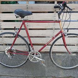 Schwinn Traveler 25" Road/Hybrid Bike 10-Speed 700x35C