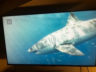 Hisense 55U8K