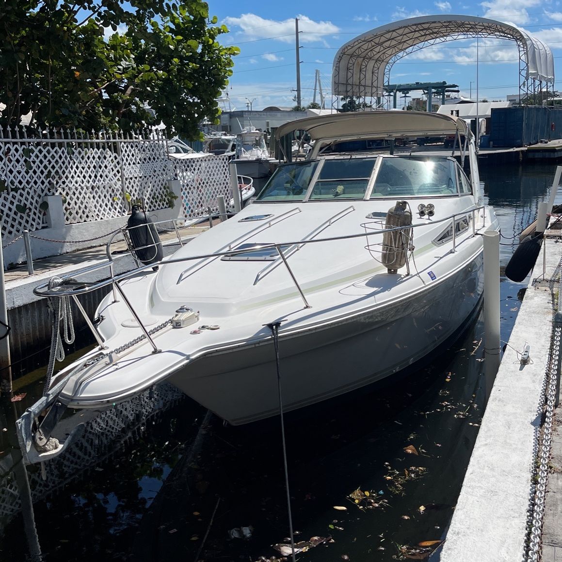 1991 Searay 310