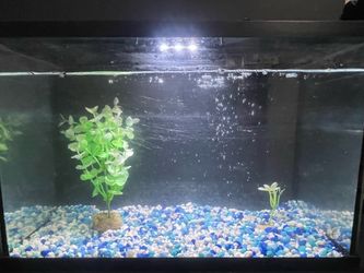 6-7 Gallon Fish tank