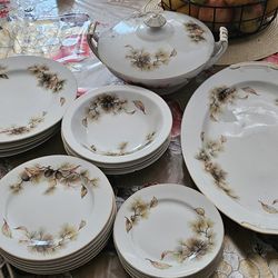 China Plates 22 PIECES