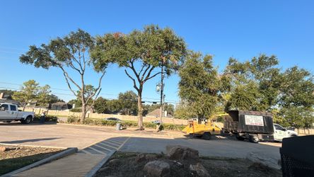 tree work