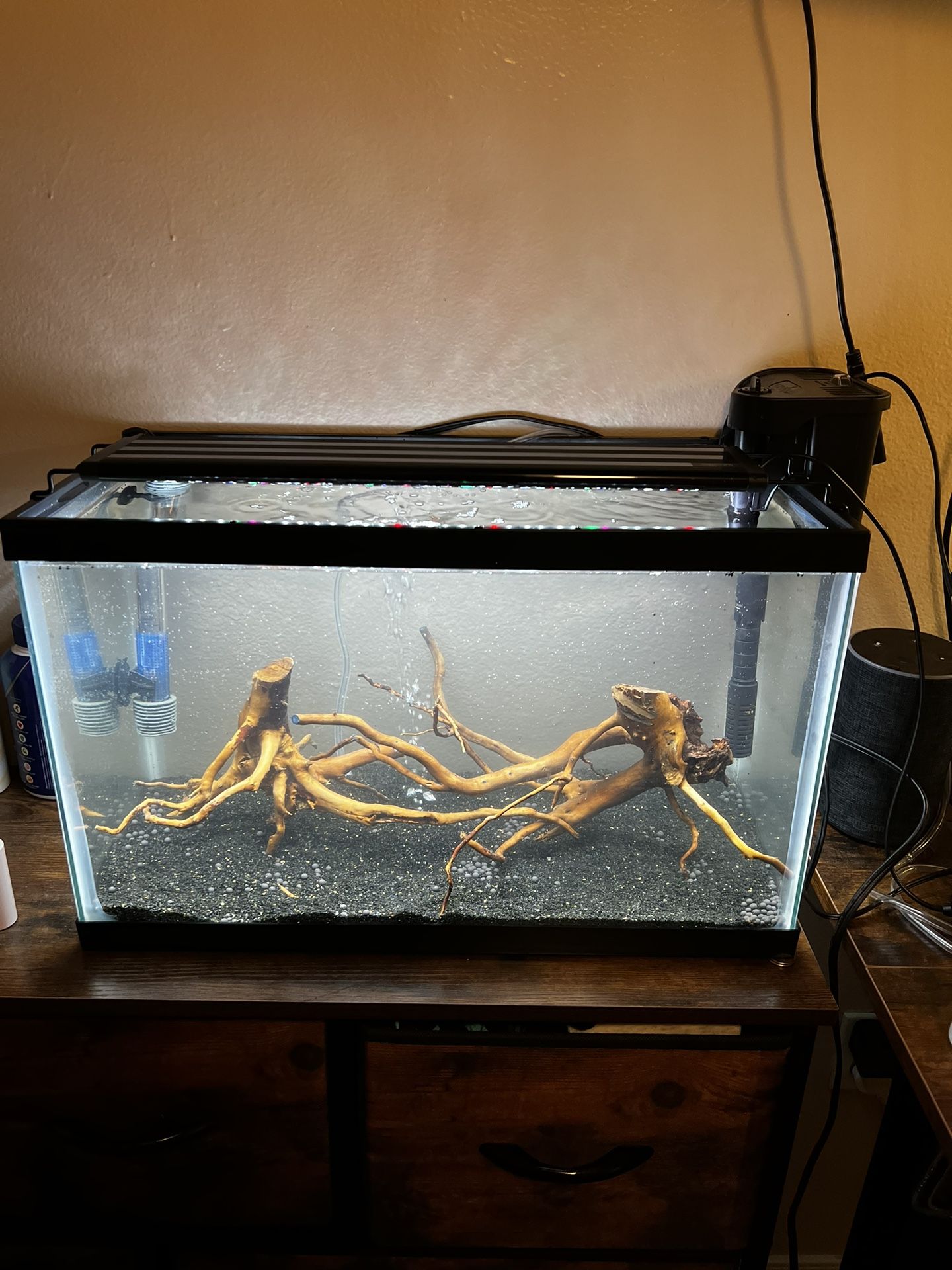 Fish Tank 10g 