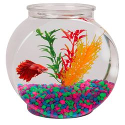 Fish bowl For Betta