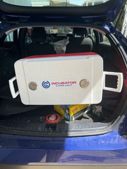 Portable pet incubator