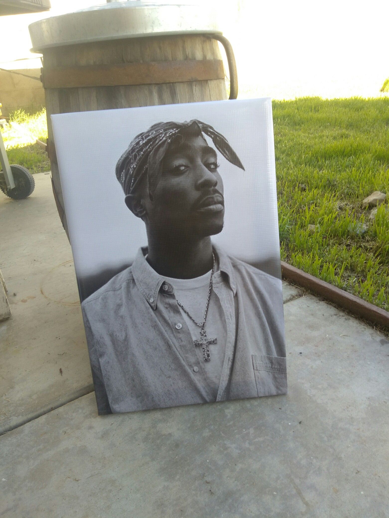 Canvas Art Print NEW free delivery