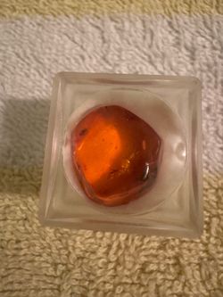 Baltic Amber Insect Inclusions