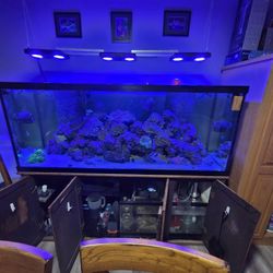Fish Tank And Stand